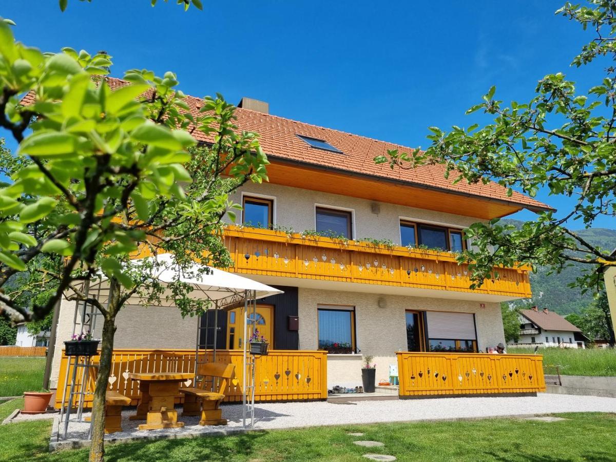 Apartma Ana In Manca Begunje na Gorenjskem Exteriör bild