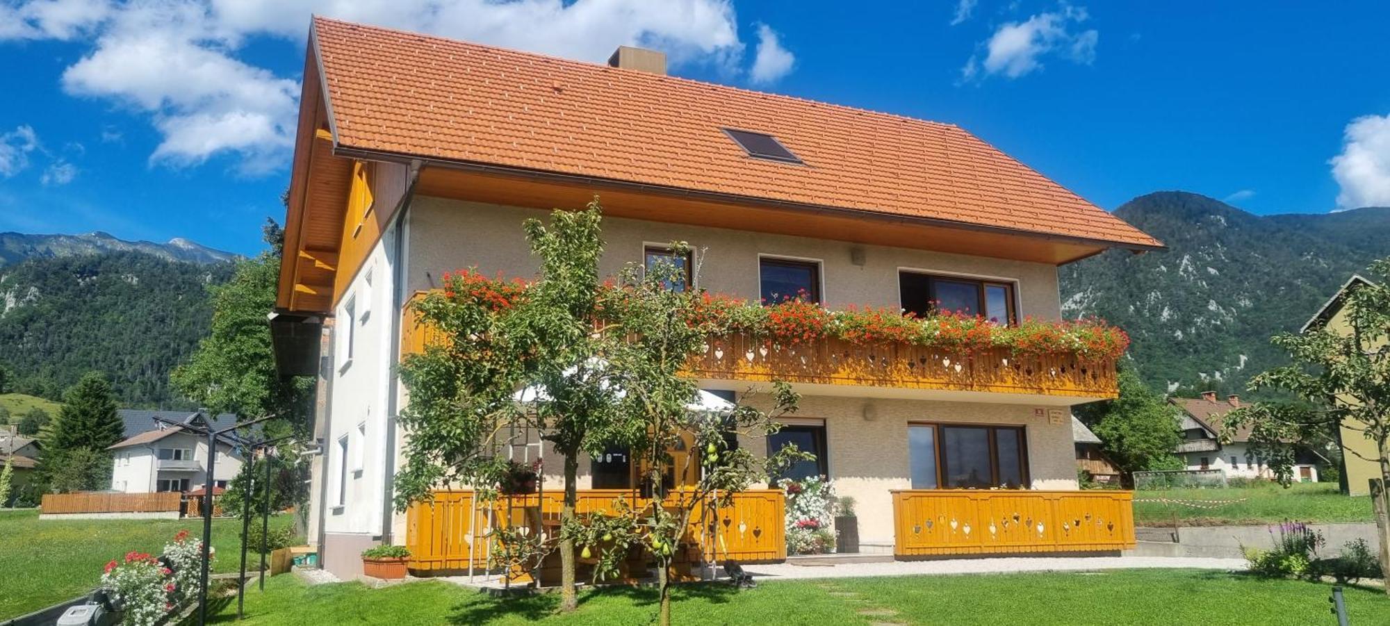 Apartma Ana In Manca Begunje na Gorenjskem Exteriör bild
